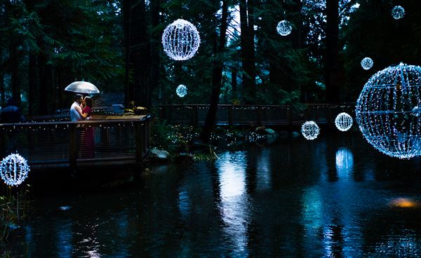 Justin Ho Photography