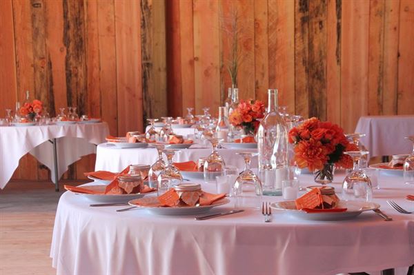 Star Attractions and Events