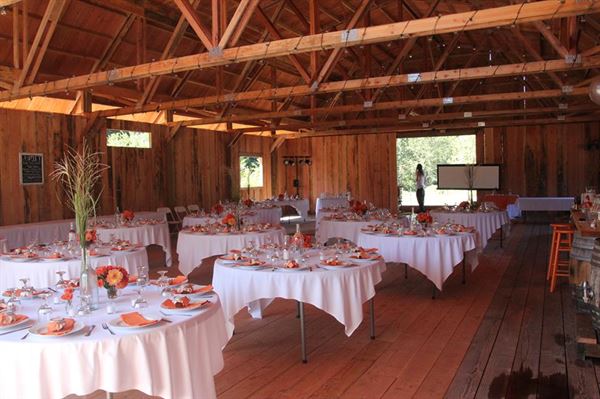 Star Attractions and Events