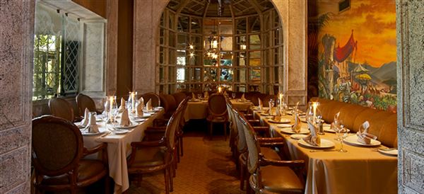 Wally's Desert Turtle