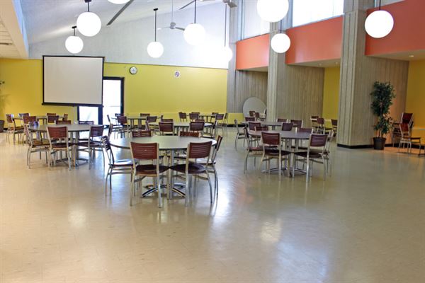 University Of Toronto At Mississauga