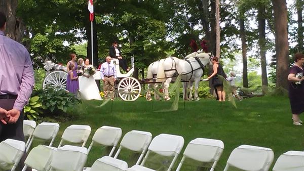 Medley Musician Service