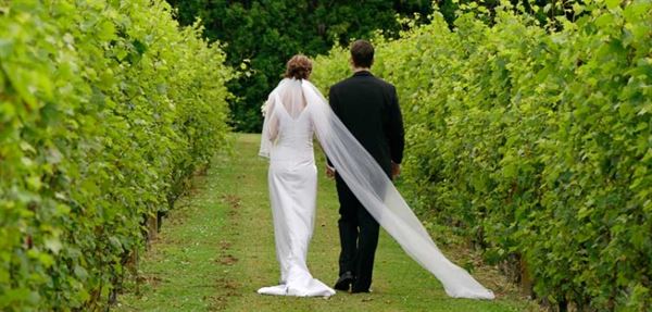 Prince Michel Vineyard & Winery