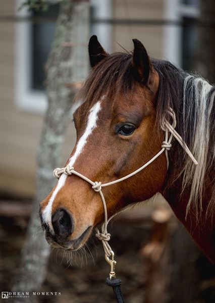 La Fontana Springs Wedding & Event Center