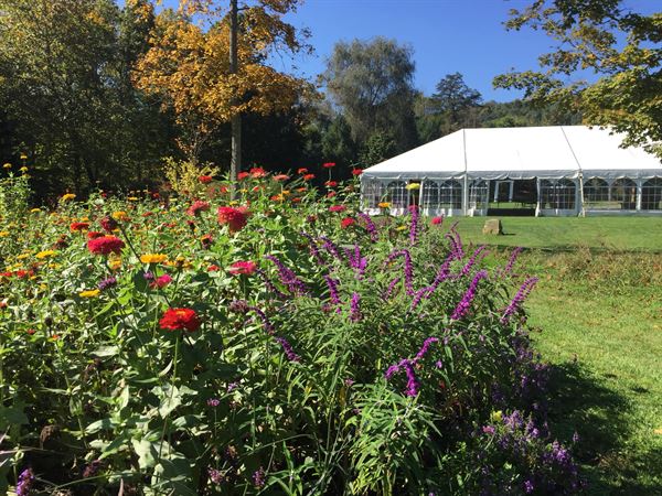 Gardens of Stonebridge