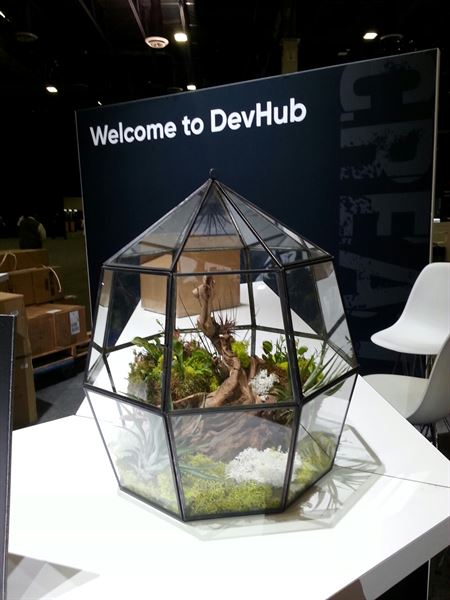 An Octopus's Garden Floral Design Studio