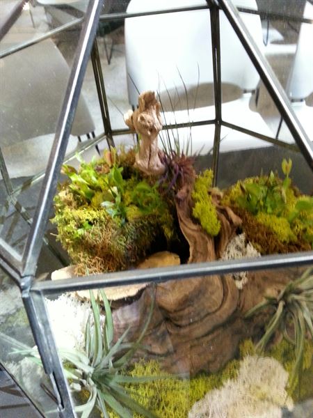 An Octopus's Garden Floral Design Studio