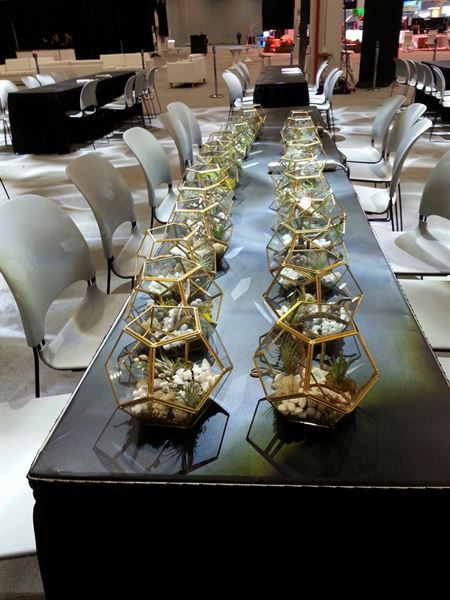 An Octopus's Garden Floral Design Studio