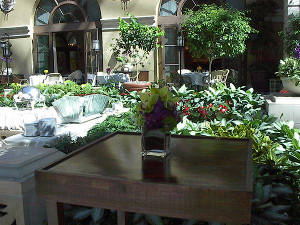 An Octopus's Garden Floral Design Studio