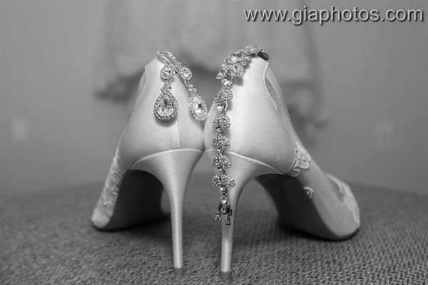 Chicago Wedding Engagement Photographer - Gia Photos