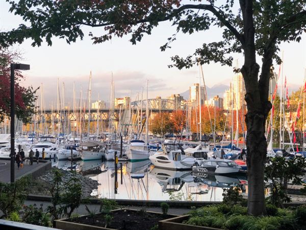 Pacific Institute of Culinary Arts