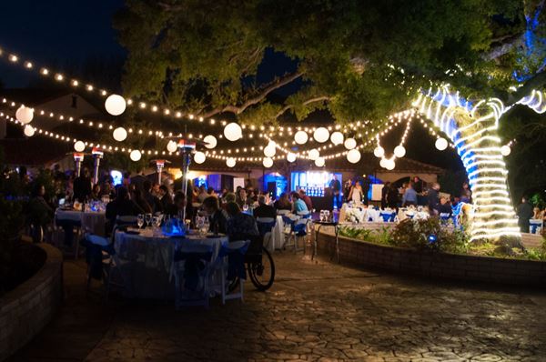 Vineyard Hacienda Inc.