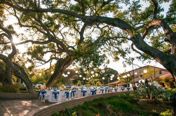 Vineyard Hacienda Inc.