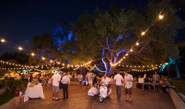 Vineyard Hacienda Inc.