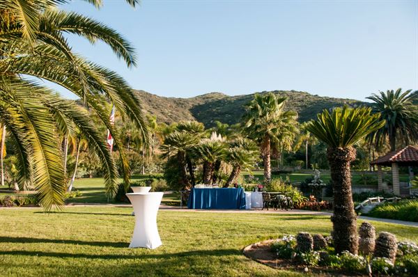 Vineyard Hacienda Inc.