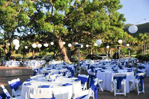 Vineyard Hacienda Inc.