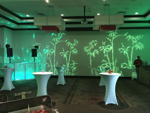 Arkansas' Best DJ Service