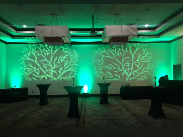 Arkansas' Best DJ Service