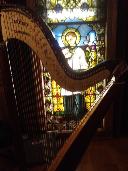 Lisa Fenwick Harpist
