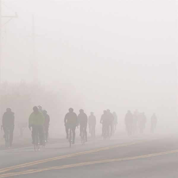 James Hale Photography