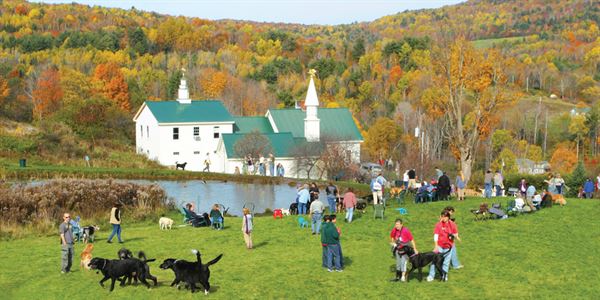 Dog Mountain, Home of Stephen Huneck Gallery