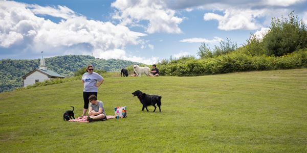 Dog Mountain, Home of Stephen Huneck Gallery