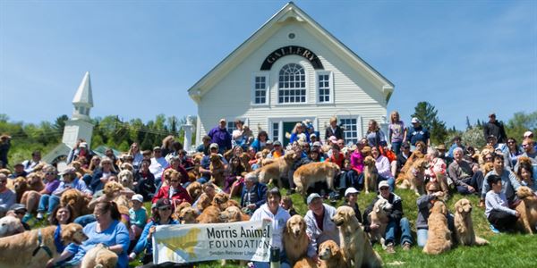 Dog Mountain, Home of Stephen Huneck Gallery