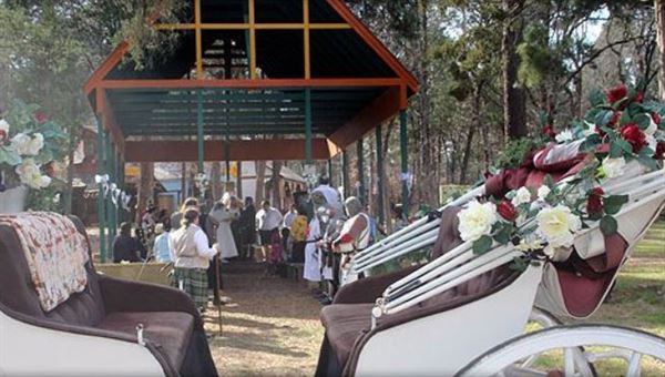 Sherwood Forest Faire