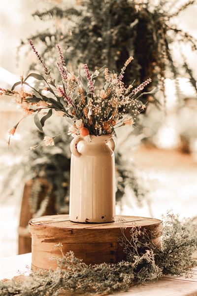 Twelve Oaks Farm Events