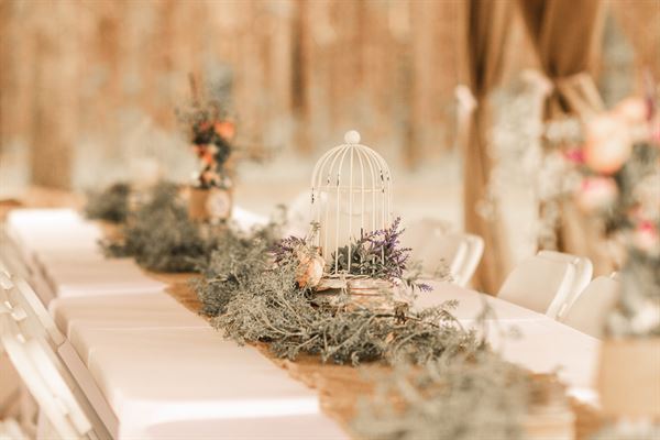 Twelve Oaks Farm Events