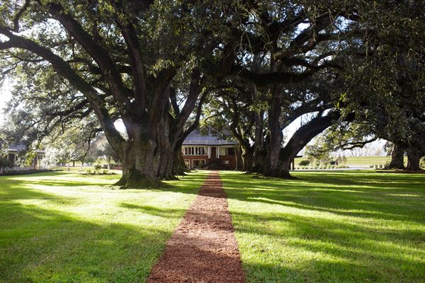 Stella Events and Adventures