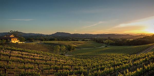 Hanna Winery & Vineyard