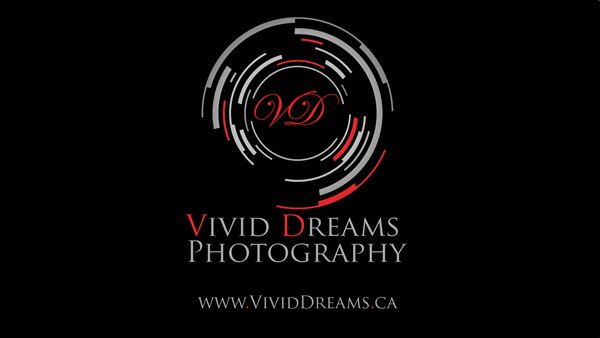 Vivid Dreams Photography + Videography