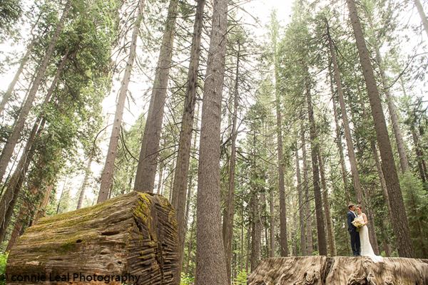 Connie Leal Photography