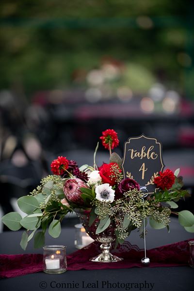 Connie Leal Photography