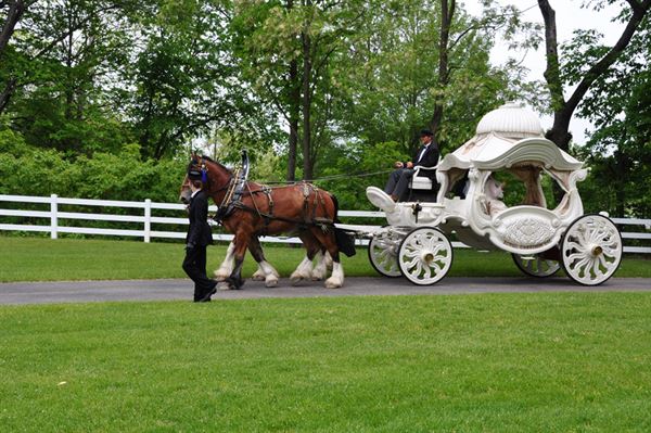 Allegan Country Inn Bed and Breakfast