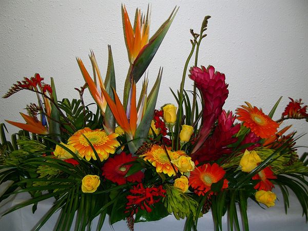 Pirin Flowers and Gifts
