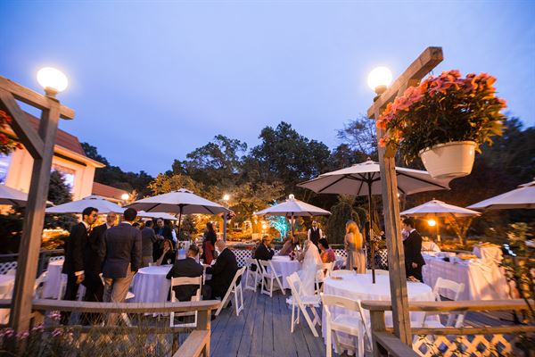 Swan Club On The Harbor
