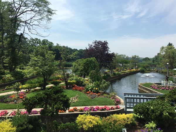 Swan Club On The Harbor