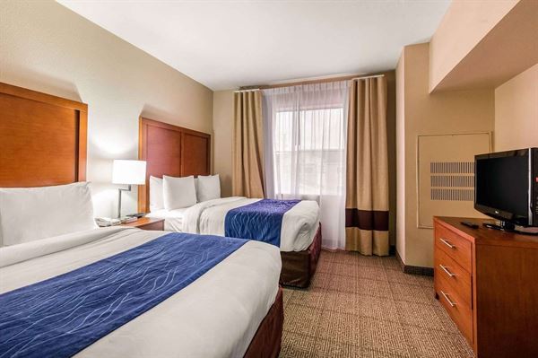 Comfort Inn & Suites IAH Bush Airport- East