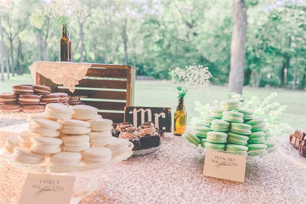 Mandy Kline Photography