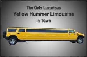 Destiny Limousine