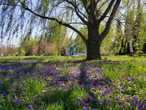 Western Kentucky Botanical Garden