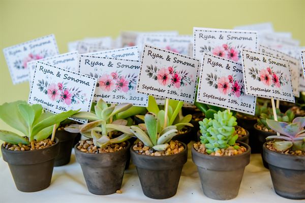 Premier Event Services & Floral