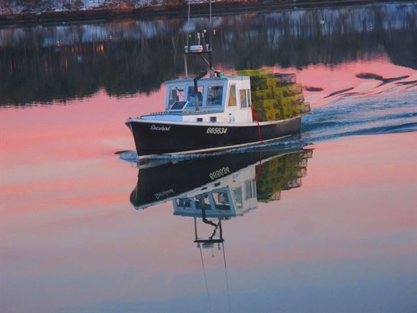 Cathy's Lobster Bake