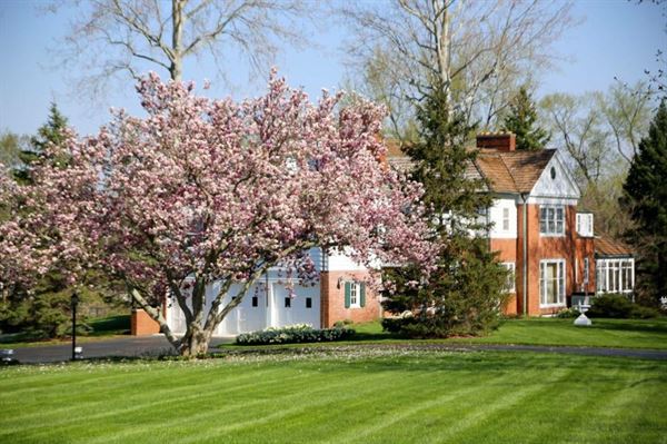 Little Brook Meadows