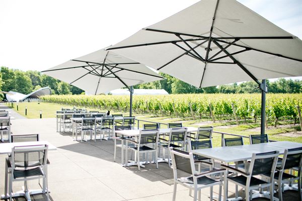 Jackson Triggs Niagara Estate