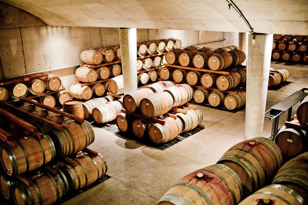 Jackson Triggs Niagara Estate