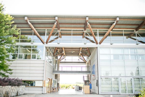 Jackson Triggs Niagara Estate