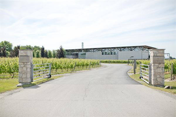 Jackson Triggs Niagara Estate